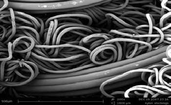 The Phenom has been used to investigate several different cutting edge applications in industries covering filtration, medical equipment, insulation, aerospace, and nanotechnology. The Phenom provides accurate information about fibers like general construction, diameter, and surface morphology.