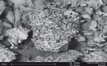 Now, an innovative benchtop imaging system by Phenom, FEI Company, combines the power of SEM with the speed and convenience of LM, delivering crisp, clear images at magnifications up to 20,000X with about as much effort as a point-and-shoot camera.
