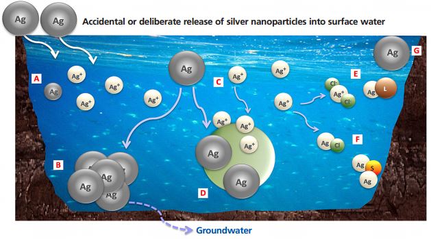 online nanotechnologies in the conservation