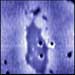 nano-TA is a local thermal analysis technique which combines the high spatial resolution imaging capabilities of atomic force microscopy with the ability to obtain understanding of the thermal behaviour of materials with a spatial resolution of sub-100nm