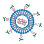 RNA interference (RNAi) is a powerful strategy for suppressing gene expression in a sequence-specific manner. This strategy offers new potential opportunities for treating various diseases by addressing otherwise 'undruggable' targets.