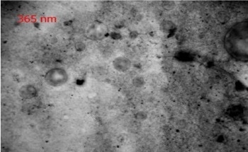 In this applications paper, we examine a sample of carbon nanotubes deposited on a circular glass cover slip. In particular, microspectral analysis in absorbance and reflectance, as well as micro imaging analysis at ultraviolet wavelengths are studied.