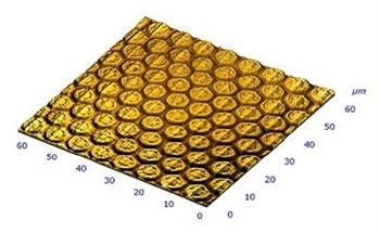 The electro-mechanical coupling behaviour of many materials in systems from bio based cell membranes and proteins to ferroelectric and piezoelectric electronic materials can now be analysed in great detail via Piezoresponse Force Microscopy (PFM).