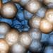 Sub-nano scale polymer samples are investigated without damage to the surface using Non-Contact AFM. Using AFM, we can investigate the nano texture on the surface of each bead more effectively than with SEM.