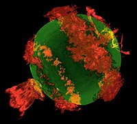Visualization of an exploding supernova created with the IBM Blue Gene/P at the Argonne Leadership Computing Facility.