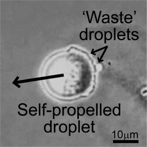 Scientists are reporting development of "self-propelled" oil droplets that run on chemical "fuel." The development could serve as a blueprint for designing similar locomotion systems in artificial cells. Credit: The American Chemical Society
