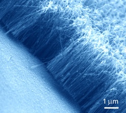 Nano-tubes grown at QUT.
