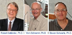 Einstein principal investigators