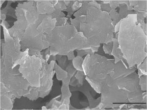 This image, taken with an electron microscope, shows the unique "platelet" shape of these nanoparticles.