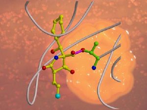 Snapshots of a biochemical process -- obtained through X-ray crystallography -- provide insights that could guide development of tailored anti-cancer drugs. Researchers at the Technische Universitaet Muenchen and Nereus Pharmaceuticals have determined in detail how the bacteria-derived molecule Salinosporamide A disables the intracellular waste-processing plants called proteasomes. The researchers compare the mechanism to a key that breaks off in a lock. Courtesy TUM Dept. of Biochemistry and Nereus Pharmaceuticals, all rights reserved.