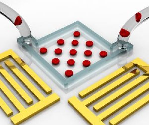 "Acoustic tweezers" enable flexible on-chip manipulation and patterning of cells using standing surface acoustic waves. Credit: Tony Jun Huang, Jinjie Shi, Penn State