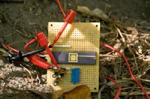 This custom circuit is able to store up enough voltage from trees to be able to run a low-power sensor. Credit: University of Washington