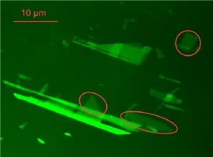 The normally practically invisible single-carbon-atom layers can be made visible under a normal light (optical) microscope, if the support (layer) is designed as an anti-reflection filter. Single-layer graphene was identified inside the markings. (Image: PTB)
