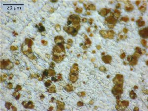 Tracing ultra-fine dust
