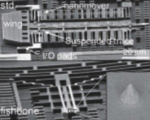 Caption: XSEM overview of IMEC�s standard and fishbone cantilever designs with suspended Pt trace and sharp tips.