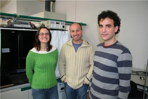Sevillian researchers study a new type of sollar cell