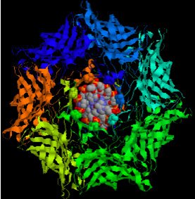 This image of the nanopore used by UCSC researchers shows a double-stranded DNA molecule superimposed on the channel of the nanopore. The DNA molecule, 2.2 nanometers in diameter, fits into the pore vestibule but not through the pore, which is 1.5 nanometers wide. Image courtesy of M. Akeson. 