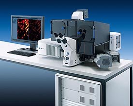 With the PAL-M and SR-SIM microscopy techniques, the ELYRA microscope system offers superresolution beyond the classic diffraction limit of microscopes.