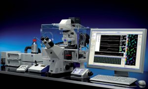 The AxioVision 4.7 software with physiology module from Carl Zeiss provides a new level of quality for FRET examinations, here with the motorized Cell Observer microscope system