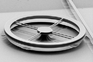Scanning electron micrograph of two thin, flat rings of silicon nitride, each 190 nanometers thick and mounted a millionth of a meter apart. Light is fed into the ring resonators from the straight waveguide at the right. Under the right conditions optical forces between the two rings are enough to bend the thin spokes and pull the rings toward one another, changing their resonances enough to act as an optical switch. Cornell Nanophotonics Group