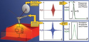 Operational principle of the BE method in SPM. The excitation signal is digitally synthesized to have a predefined amplitude and phase in the given frequency window. The cantilever response is detected and Fourier transformed (FFT) at each pixel in an image. The ratio of the fast FFT of response and excitation signals yields the cantilever response (transfer function). Fitting the response to the simple harmonic oscillator yields amplitude, resonance frequency, and Q-factor that are plotted to yield 2D images, or used as feedback signals. Reprinted with permission (Nanotechnology 18 (43) (2007)).