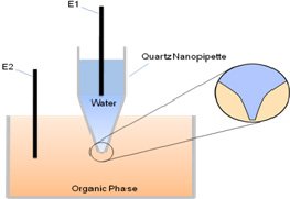 Schematic representation of the experimental setup