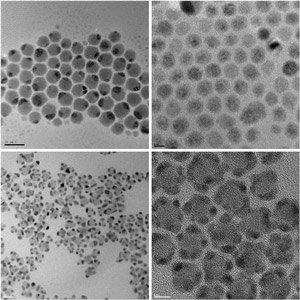 Fig. 1: Transmission electron micrograph images of nanoscale composites of noble metal and semiconductor crystals produced using a new synthesis protocol. Top left, silver-sulfide/silver (Ag2S�Ag); top right, cadmium-sulfide/silver (CdS�Ag); bottom left, cadmium-sulfide/gold (CdS�Au); bottom right, lead-sulfide/gold (PbS�Au).

� 2009 Institute of Bioengineering and Nanotechnology, A*STAR
