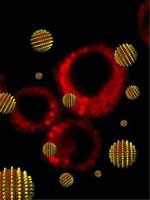 MIT researchers have created