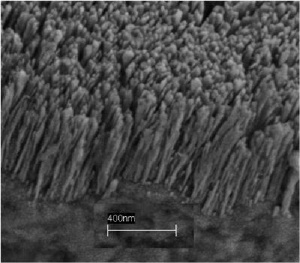 A scanning electron microscope shows copper nanorods deposited on a copper substrate. Air trapped in the forest of nanorods helps to dramatically boost the creation of bubbles and the efficiency of boiling, which in turn could lead to new ways of cooling computer chips as well as cost savings for any number of industrial boiling application. Credit: Rensselaer Polytechnic Institute/ Koratkar