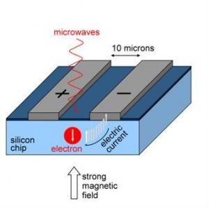 Microwaves are used to control the spin state of electrons held in silicon. This spin state can be watched in real time by measuring the electric current flowing between the (grey) electrodes. (Credit: Image courtesy UCL)