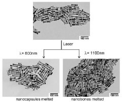 The top image shows a mixture of gold nanoparticles. The longer particles are called nanobones, and the smaller are nanocapsules. Bottom left: After the nanoparticles are hit with 800 nanometer wavelength infrared light, the nanocapsules melt and release their payload. Nanobones remain intact. Right: After the nanoparticles are hit with 1100 nanometer wavelength infrared light, the nanobones melt and release their payload. Nanocapsules remain intact.