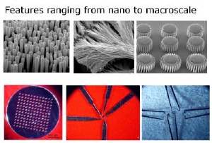 Various parts (nano-molds, nano-wires, gears, membrane, scalpels, and tweezers) fabricated by molding metallic glass over wide range of length scales -- from 13 nm to several millimeters. Credit: Kumar/Schroers(Yale)