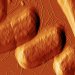 For two decades, scientists have been pursuing a potential new way to treat bacterial infections, using naturally occurring proteins known as antimicrobial peptides (AMPs). Now, MIT scientists have recorded the first microscopic images showing the deadly effects of AMPs, most of which kill by poking holes in bacterial cell membranes.