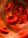 Nanotechnology researchers at UC Davis have shown that they can use a red blood cell to calibrate a sensitive instrument, an atomic force microscope