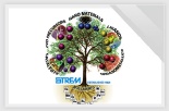 STREM CHEMICALS - The Latest Nanomaterial Offerings