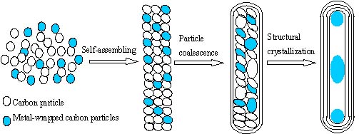 Figure 2. Schematic diagram of the proposed particle-wire-tube mechanism for nanotube evolution.