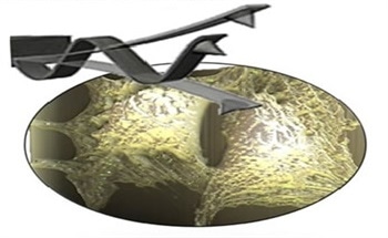 Physics in Nanomedicine: Interfaces and Mechanical Properties of Nanomaterials and Biological Systems with AFM