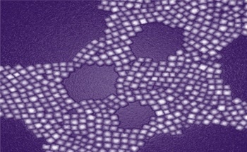 Deep-Tissue Biological Imaging with Fluorescent Nanoparticles