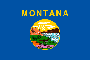 Nanotechnology in Montana, USA: Market Report