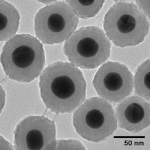 Formulation and Applications of Gold Colloids