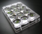Materials and Methods for Nanotoxicology Research