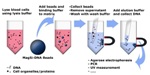 Magnetic Silica Beads in Genomic Applications