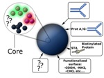 Proteomics Applications of Magnetic Silica Beads
