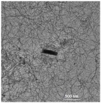 Speciality Multiwall Carbon Nanotubes (MWCNT) – SMW210 from SWeNT