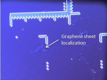 Nanolane Markerade SURFAR Glidbanor