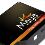 Ocean Optics Maya 2000 Spectrometer