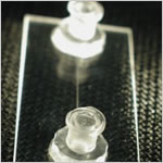 Translume Straight-Channel Microfluidic Chips