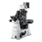 Park Systems XE-BIO Atomic Force Microscope