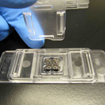 Live Imaging Cell Culture Membranes - CytoVu from Simpore