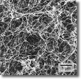 A scanning electron micrograph of the nanofiber gel with the water removed.